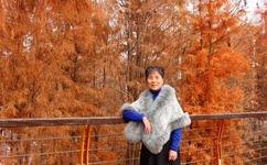 缘之空一共做了几次